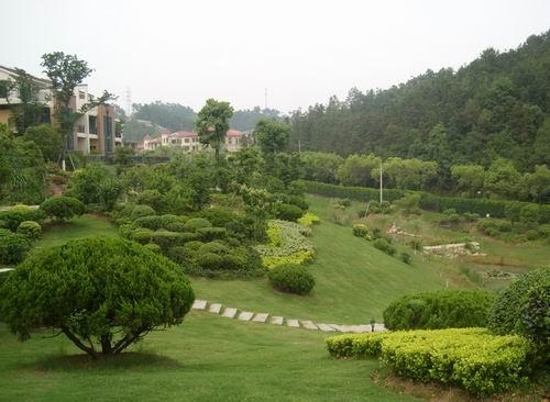 風景園林綠化工程養護技術